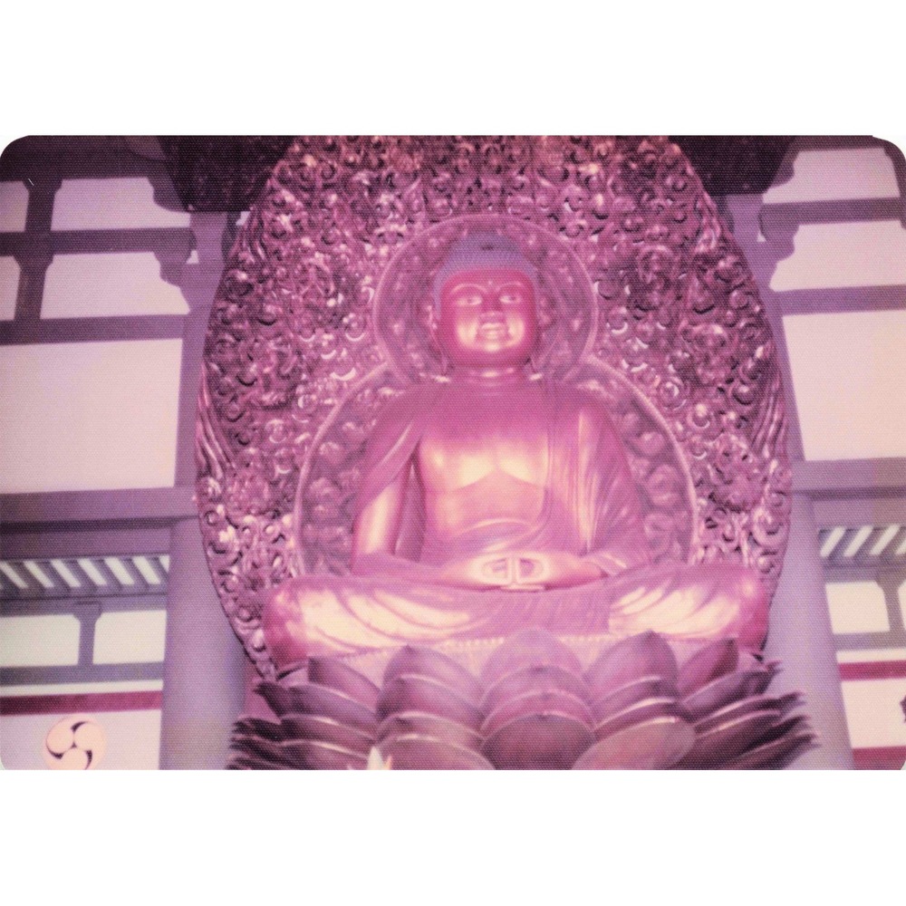 Vintage 1970s Byodo-In Temple Oahu Hawaii Buddha Photo Lot of 9 - Picture 1 of 9
